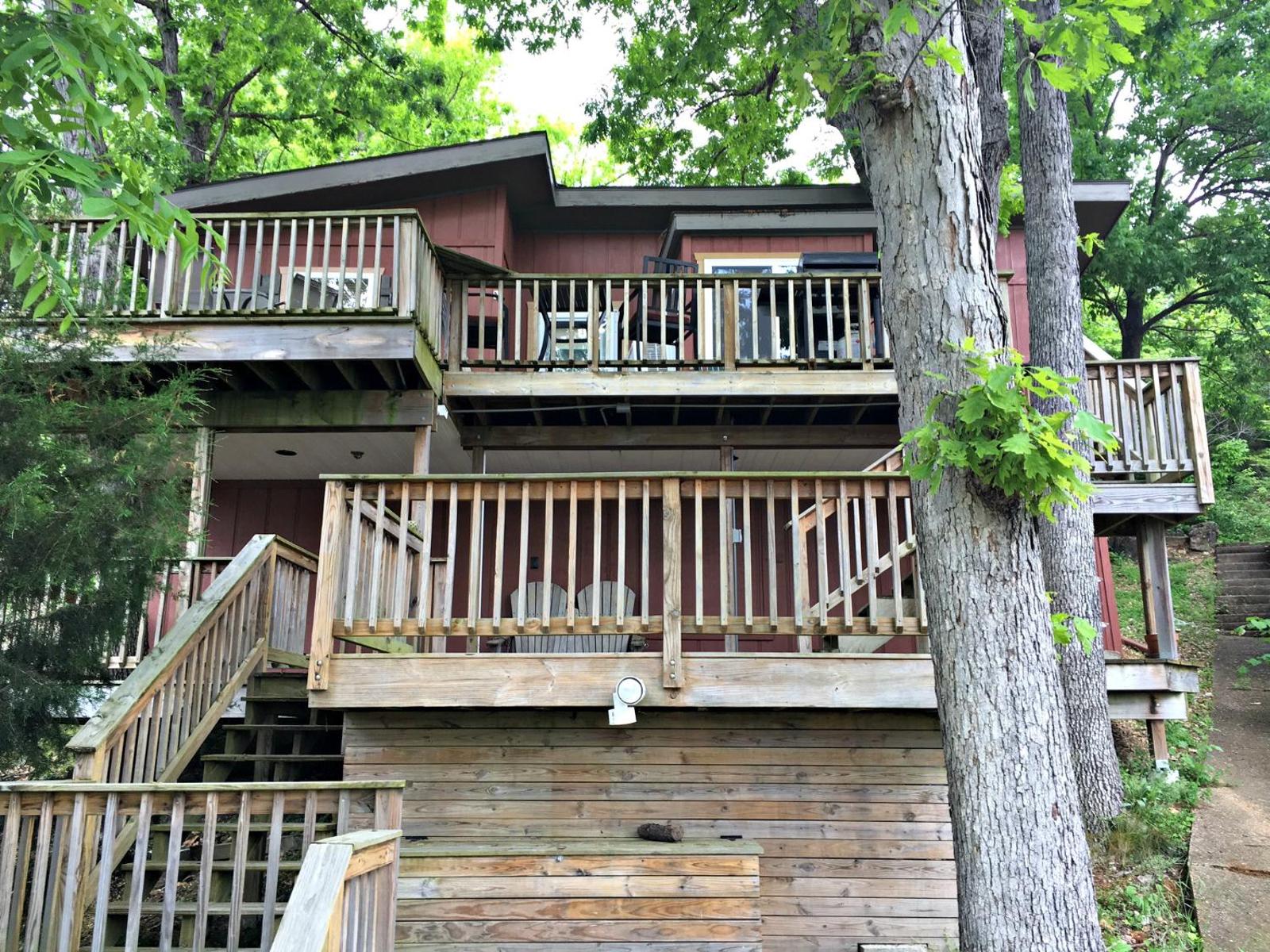 Tree House Main image 1